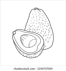 beautiful Avocado line art images,outline drawing,vector art and Avocado illustrations art