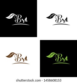 Beautiful B R letters with leaf. Handwriting, Signature, wedding, fashion, boutique, jewelry, botanical , floral logo creative Vector logo Design template
