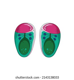 Beautiful baby slippers isolated on white background. Greeting sweet postcard.Vector illustration. Hand drawn