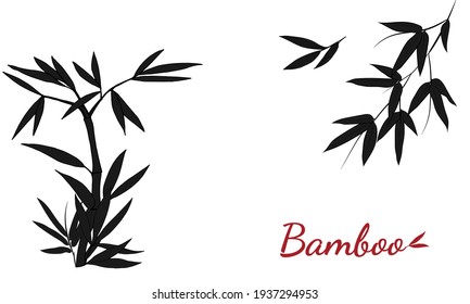 Beautiful background with bamboo stem and leaves. Set of bamboo tree leaves. Hand drawn botanical collection. Drawing of parts of bamboo and sections of branches and leaves on a white background. 