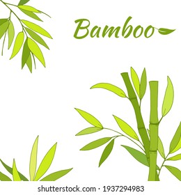 Hermoso fondo con tallo de bambú y hojas. Conjunto de hojas de árbol de bambú. Colección botánica dibujada a mano. Dibujo de partes de bambú y secciones de ramas y hojas sobre un fondo blanco. 