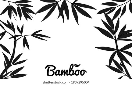 Beautiful background with bamboo stem and leaves. Set of bamboo tree leaves. Hand drawn botanical collection. Drawing of parts of bamboo and sections of branches and leaves  on a white background. 