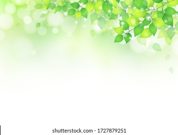 Beautiful background of brilliant green leaves