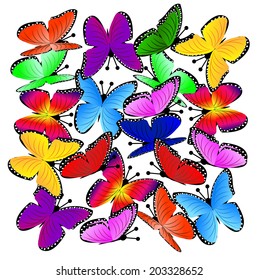 beautiful background with butterflies, vector illustration