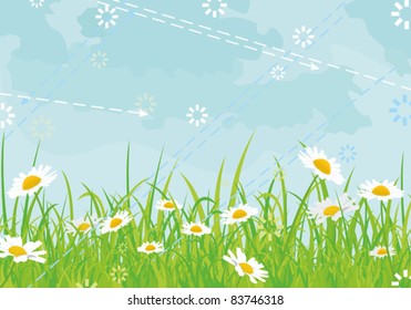 beautiful background with daisies sky arrows