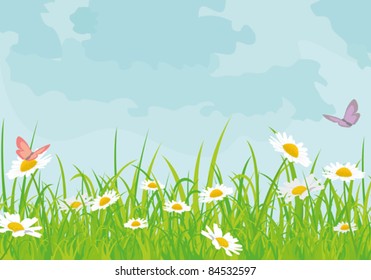 beautiful background with daisies sky arrows and lines