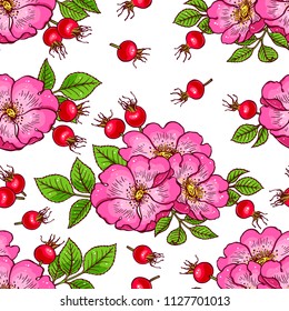 beautiful background of dogrose flowers and fruits. hand-drawn illustration