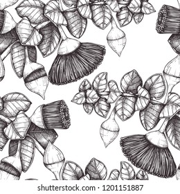 Beautiful background with Eucalyptus rhodantha illustration. Floral seamless pattern. Vector drawings of rose mallee. Fabric design with botanical elements.