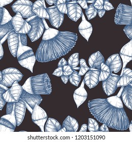 Beautiful background with Eucalyptus rhodantha illustration. Floral seamless pattern. Vector drawings of rose mallee. Fabric design with botanical elements.