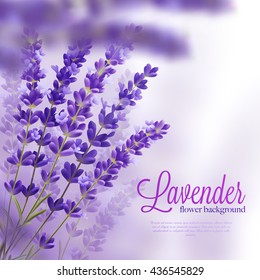 Beautiful background with few branchs of lavender flowers violet tons shades and title vector illustration