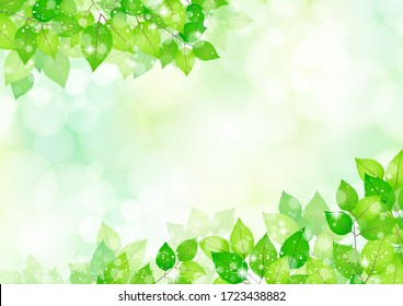 Beautiful background of glittering leaves