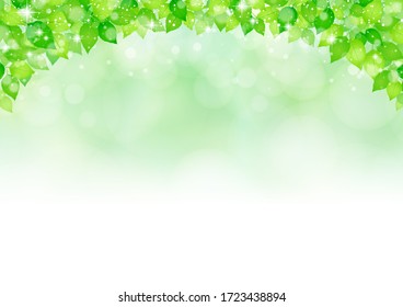 Beautiful background of glittering leaves