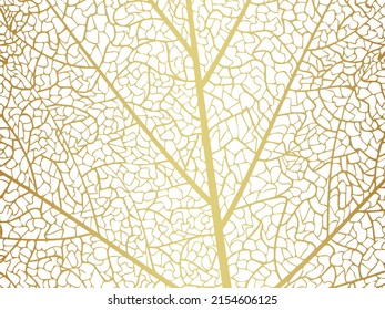 Schöner Hintergrund goldener Blätter, Vektorgrafik