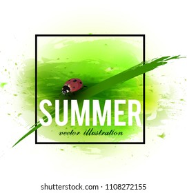 Beautiful background with green grass and ladybug. Watercolor effect. Vector illustration