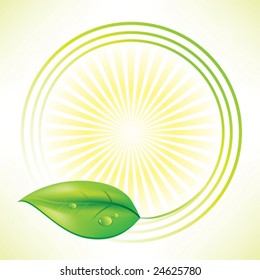 Beautiful background with green leaf.