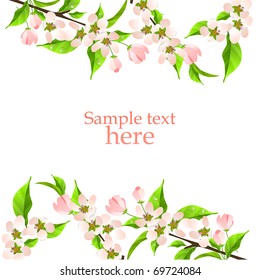 Beautiful background with green leaves and blossoming branch
