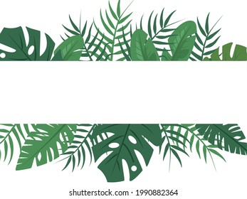 Beautiful background with green tropical leaves and a place for the inscripion. Vector illustration.