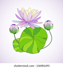 Beautiful background with hand drawn water lily.