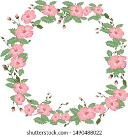 A beautiful background of hibiscus flower arrangement with petals and green leaves