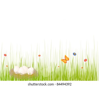 Beautiful background illustration of spring meadow (vector)