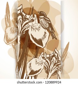 Hermoso fondo con flores de iris y pájaro/