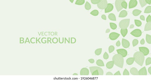 Beautiful background with leaves. Vector.