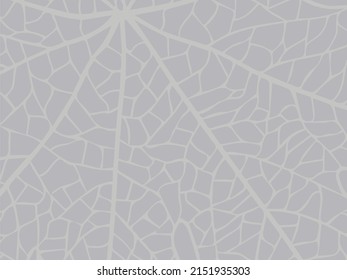Beautiful background of leaves vector illustration. 