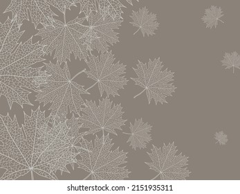 Beautiful background of leaves vector illustration. 