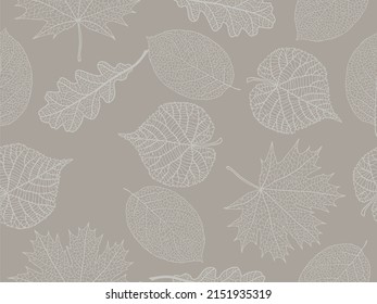 Beautiful background of leaves vector illustration. 