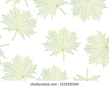 Beautiful background of leaves vector illustration. 
