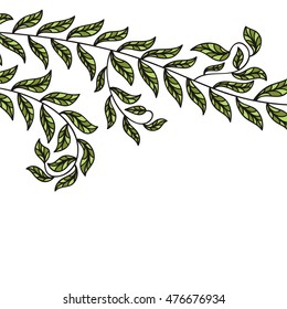 Beautiful background of leaves. Vector illustration.