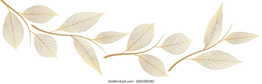 Beautiful background with leaves vein. Vector illustration.
