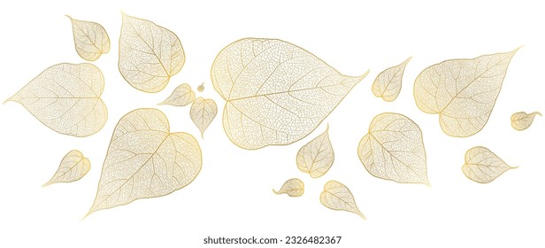 Beautiful background with leaves vein. Vector illustration.