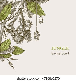 Beautiful background. The monkey hanging on the branch of a tropical tree. Vintage style. Vector illustration.