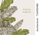 Beautiful background. The monkey sitting on the branch of a tropical palm. Vintage style. Vector illustration.