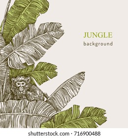 Beautiful background. The monkey sitting on the branch of a tropical palm. Vintage style. Vector illustration.