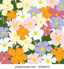 Beautiful background from multi-coloured colours