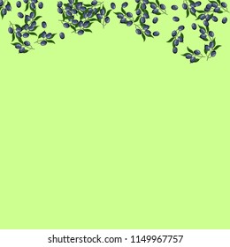 Beautiful background with olives on a green background.