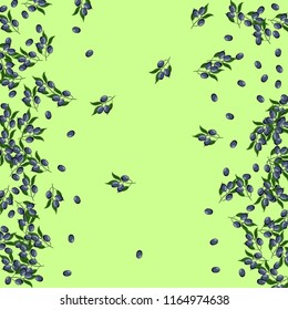 Beautiful background with olives on a green background.