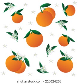Beautiful background oranges and flowers.