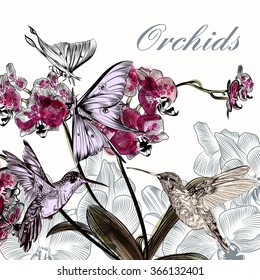 Beautiful background with orchid flowers hummingbirds and butterflies in watercolor style