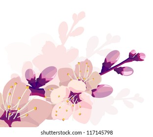 beautiful background with sakura