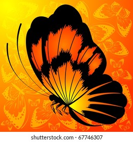 Beautiful background with tropical butterfly