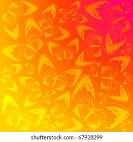 Beautiful background with tropical butterfly