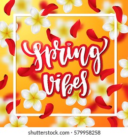 beautiful background with tropical flowers and rose petals. Hand drawn calligraphy "spring vibes" 