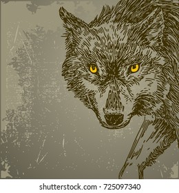 Hermosos antecedentes con lobo. Estilo vintage. Ilustración vectorial.