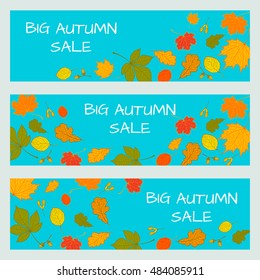 Beautiful backgrounds with the falling leaves: chestnut, oak, maple, alder. Invitation, greeting card, banner