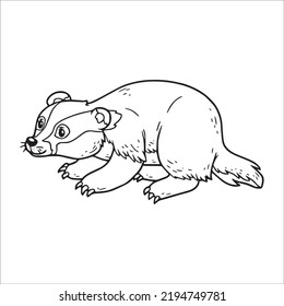 Beautiful Badger Line Art Images,outline Drawing,vector Art And Badger Illustrations Art