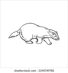 Beautiful Badger Line Art Images,outline Drawing,vector Art And Badger Illustrations Art