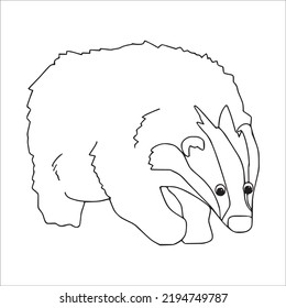 Beautiful Badger Line Art Images,outline Drawing,vector Art And Badger Illustrations Art